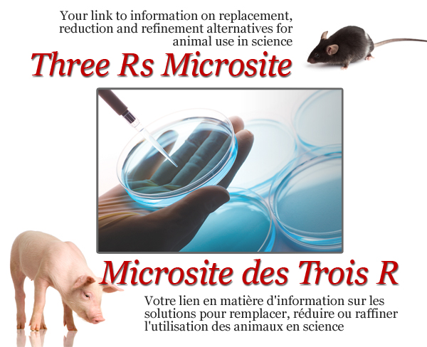 Threer Rs | Trois R