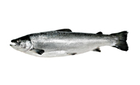 Poissons